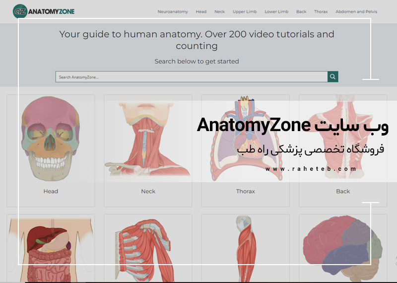 AnatomyZone