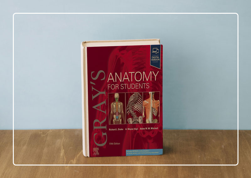 Gray's Anatomy for Students