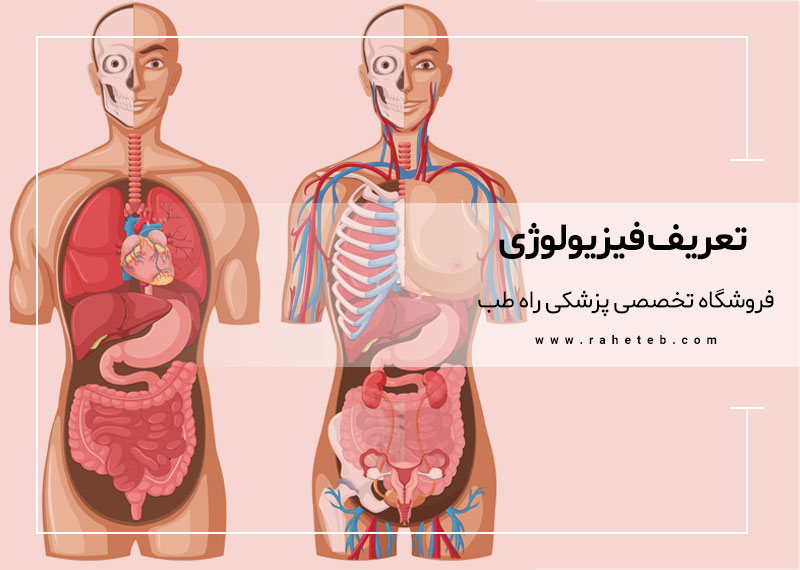 تعریف فیزیولوژی