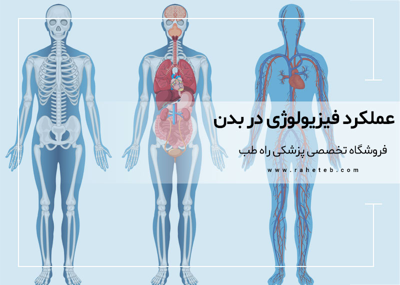 عملکرد فیزیولوژی در بدن