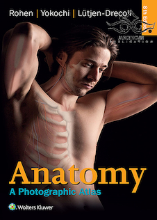 عکس Anatomy: A Photographic Atlas