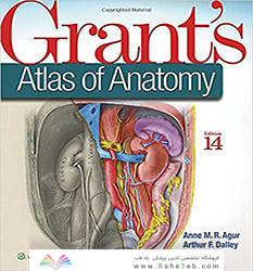 Grant