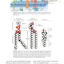Berne - Levy Physiology (فیزیولوژی برن و لوی)