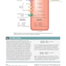 Berne - Levy Physiology (فیزیولوژی برن و لوی)