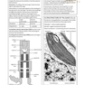 کتاب IB Biology Study Guide Oxford IB Diploma