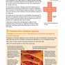 IB Biology Course Book Oxford IB Diploma Program