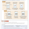 کتاب AS Level Biology Edexcel Revision Guide