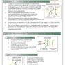 کتاب A2-Level Biology OCR Complete Revision - Practice
