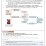 کتاب A2-Level Biology OCR Complete Revision - Practice