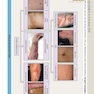 ضروریات پوستی بولونیا Dermatology Essentials 2014