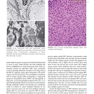 Clinical Gynecologic Oncology