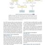 Clinical Gynecologic Oncology