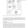 Handbook of New Genetic Diagnostic Technologies in Reproductive Medicine
