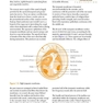 ENT: An Introduction and Practical Guide