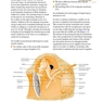 ENT: An Introduction and Practical Guide