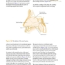 ENT: An Introduction and Practical Guide