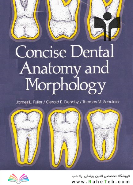 Concise Dental Anatomy and Morphology