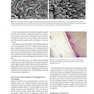 Preservation and Restoration of Tooth Structure 2016 حفظ و ترمیم ساختار دندان