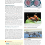 Biology 11th Edicion