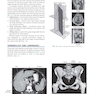 Sectional Anatomy for Imaging Professionals