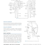 Sectional Anatomy for Imaging Professionals