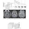 Sectional Anatomy for Imaging Professionals