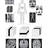 Sectional Anatomy for Imaging Professionals
