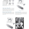 Sectional Anatomy for Imaging Professionals