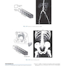 Sectional Anatomy for Imaging Professionals