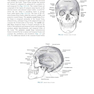 Sectional Anatomy for Imaging Professionals