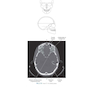 Sectional Anatomy for Imaging Professionals