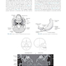 Sectional Anatomy for Imaging Professionals