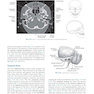 Sectional Anatomy for Imaging Professionals