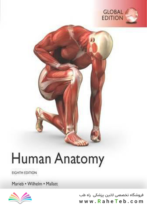 Human Anatomy, Global Edition