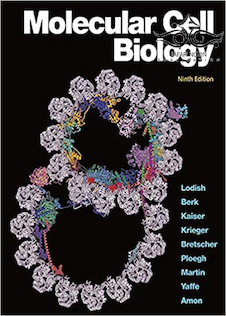 عکس Molecular Cell Biology Ninth Edition 2021