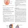 Diseases of Ear, Nose and Throat