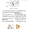 Diseases of Ear, Nose and Throat