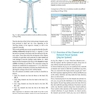 اطلس طب سوزنی Atlas of Acupuncture