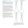 اطلس طب سوزنی Atlas of Acupuncture