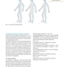اطلس طب سوزنی Atlas of Acupuncture