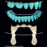 Dental Anatomy and Morphology