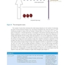 MRI in Practice 5th Edition