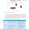MRI in Practice 5th Edition