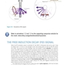 MRI in Practice 5th Edition