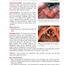 Extraordinary Cases in Emergency Medicine 2019