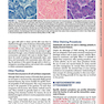 Histology: A Text and Atlas: With Correlated Cell and Molecular Biology 2020