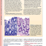 Histology: A Text and Atlas: With Correlated Cell and Molecular Biology 2020