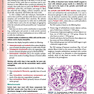 Histology: A Text and Atlas: With Correlated Cell and Molecular Biology 2020