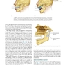 Management of Temporomandibular Disorders and Occlusion 2020