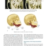 Management of Temporomandibular Disorders and Occlusion 2020